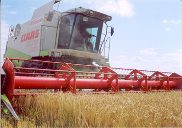 Первыми в Кузбассе уборку зерновых закончили хлеборобы Промышленновского и Новокузнецкого и районов